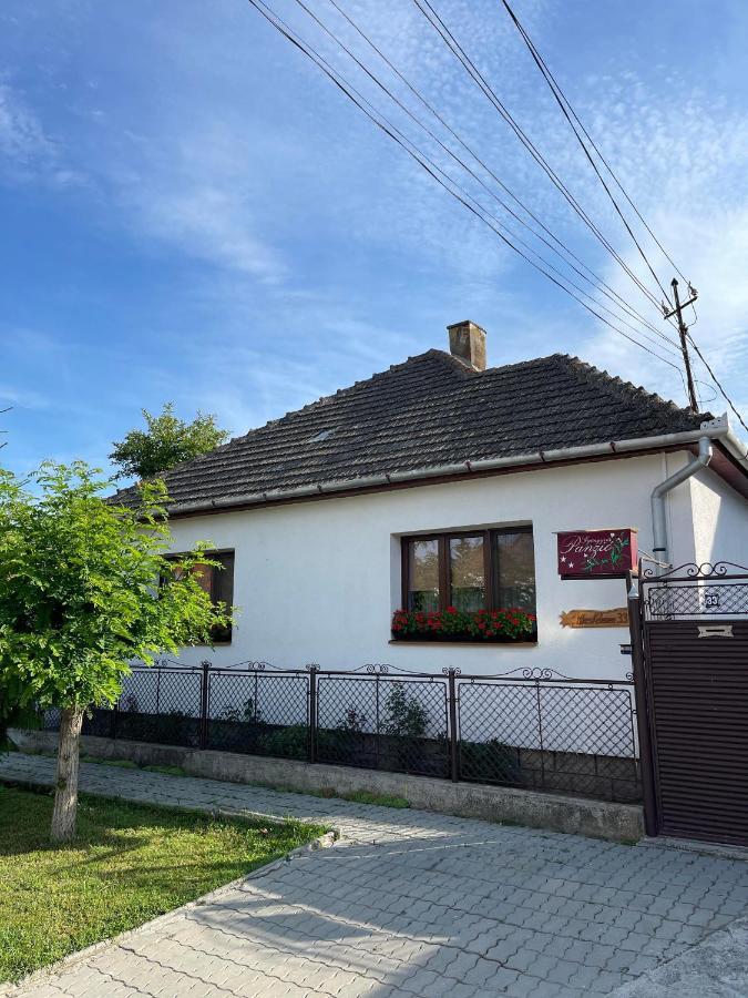 Gyongyver Panzio Sfântu-Gheorghe Exteriér fotografie